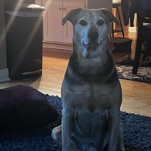 Meet your Posher, Stef